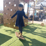 Balance Board - Imagen 2